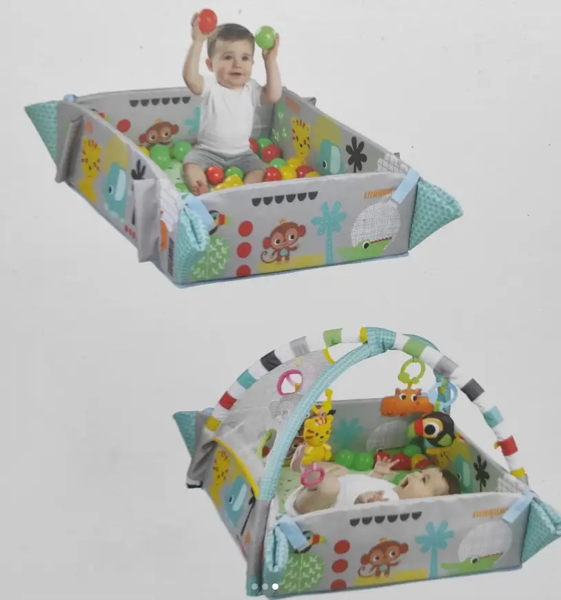 Activity gym and ball
