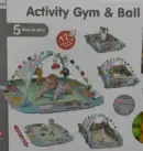 Activity gym and ball